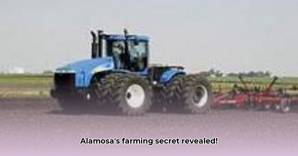 sorum-tractor-alamosa-colorado